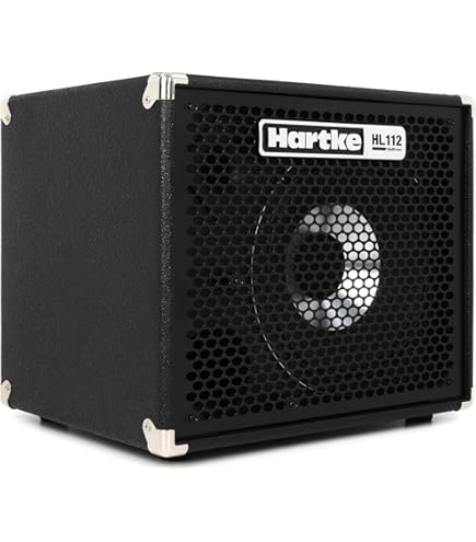 Amazon.com: Hartke Speaker Cabinet, Ambidextrous, Black (HD210